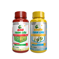 Cặp chai NẤM TOÀN CẦU - KHUẨN TOÀN CẦU