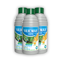 Chai SILIC MAX ĐPN 500ml