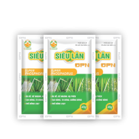 Gói SIÊU LÂN ĐPN 40g