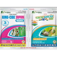Cặp gói KINGCIDE JAPAN - SẠCH KHUẨN 02 50ML