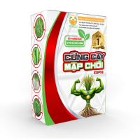 Hộp lúa 1