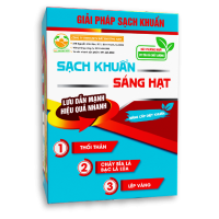 Hộp Sạch Khuẩn - Sáng Hạt