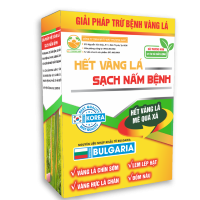 Hộp Vàng lá - Nấm bệnh