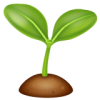  Thuốc điều hòa sinh trưởng